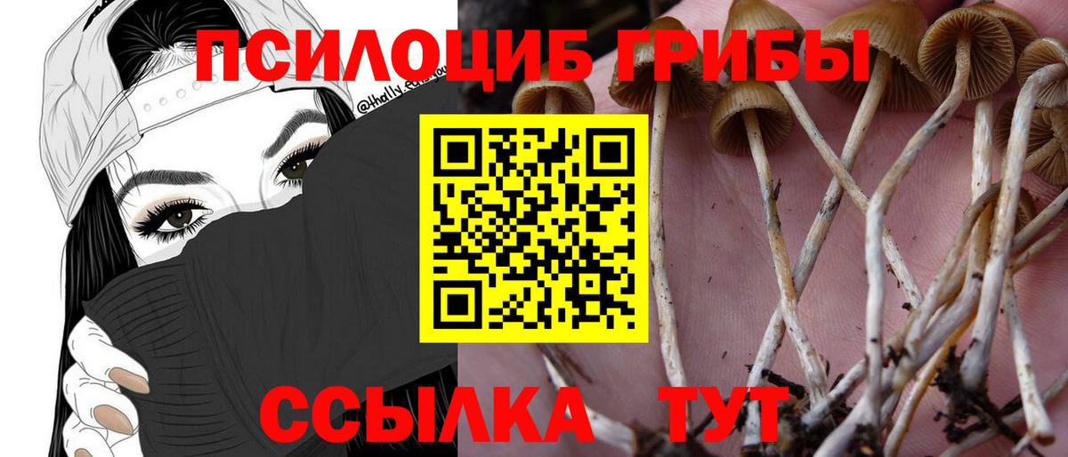Ковров  Псилоцибиновые грибы Magic Shrooms  Псилоцибиновые грибы Cubensis  Вход с VPN 
